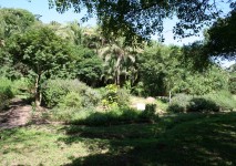 TC Roberson Nature Reserve Butterfly Garden