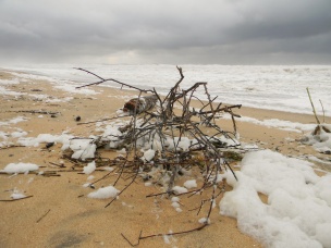 Debris on the beach after the storm